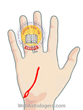 Hand Image