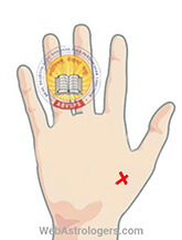 Hand Image