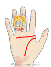 Hand Image