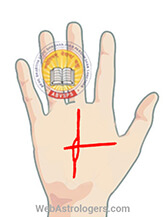 Hand Image