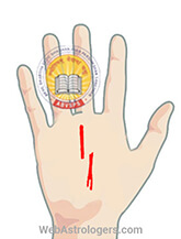 Hand Image