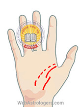 Hand Image