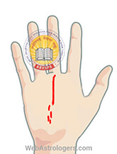 Hand Image