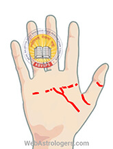 Hand Image