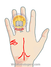 Hand Image