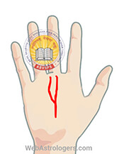 Hand Image