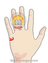 Hand Image