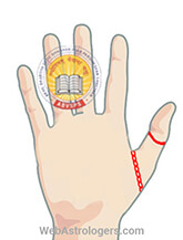 Hand Image