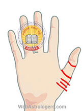Hand Image