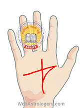 Hand Image