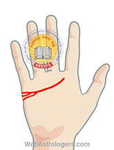 Hand Image