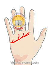 Hand Image