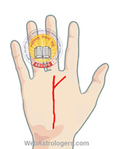 Hand Image