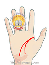 Hand Image