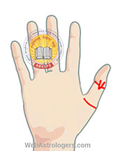 Hand Image