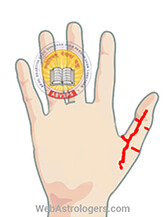 Hand Image