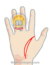 Hand Image