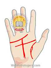 Hand Image