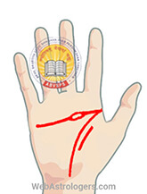 Hand Image