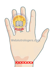 Hand Image