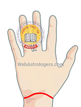 Hand Image