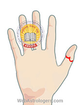 Hand Image