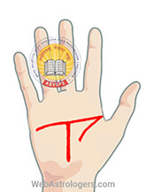 Hand Image