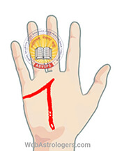 Hand Image