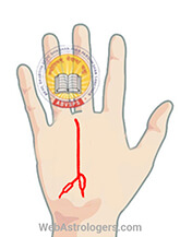 Hand Image