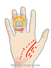 Hand Image