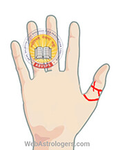 Hand Image