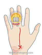 Hand Image