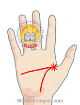 Hand Image