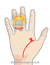 Hand Image