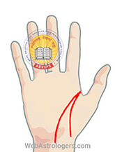 Hand Image