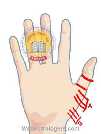 Hand Image