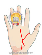 Hand Image