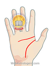 Hand Image