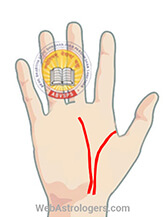 Hand Image