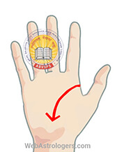 Hand Image