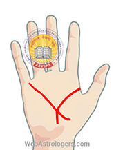 Hand Image