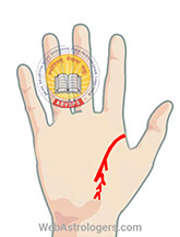 Hand Image