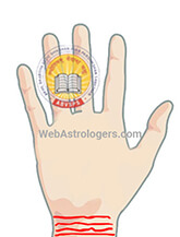 Hand Image