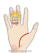 Hand Image