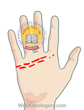 Hand Image