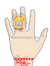 Hand Image