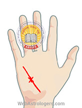 Hand Image