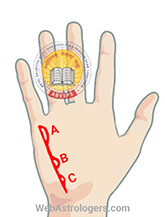 Hand Image