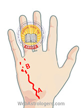 Hand Image