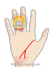 Hand Image